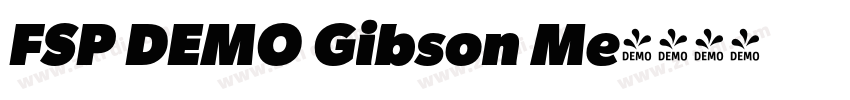 FSP DEMO Gibson Me字体转换 FSP DEMO Gibson Me字体转换